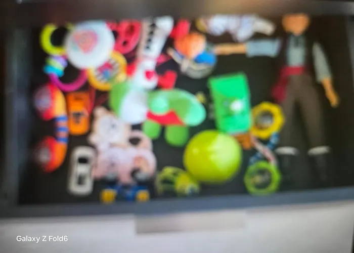 Denzel-lopes App Oslo, * Lorenskog