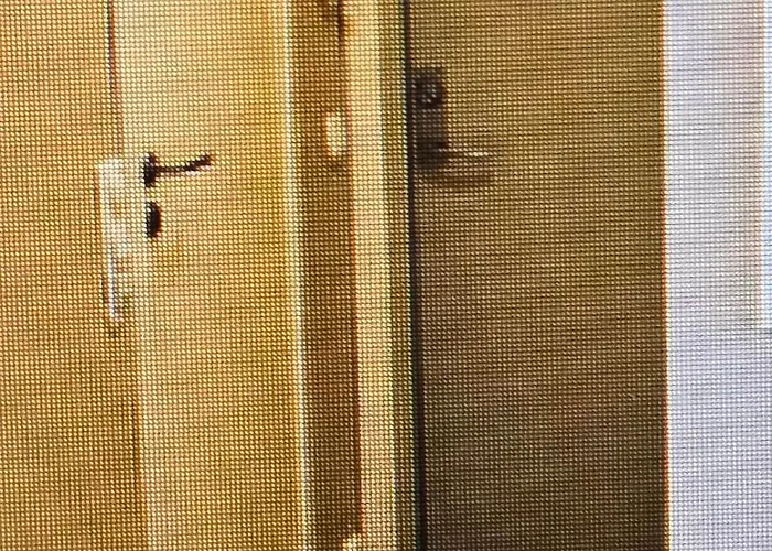 Denzel-lopes App Oslo, Lorenskog